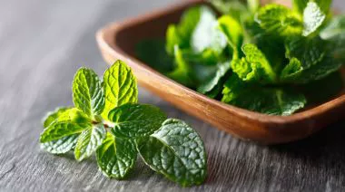 garnishing-instructions-image